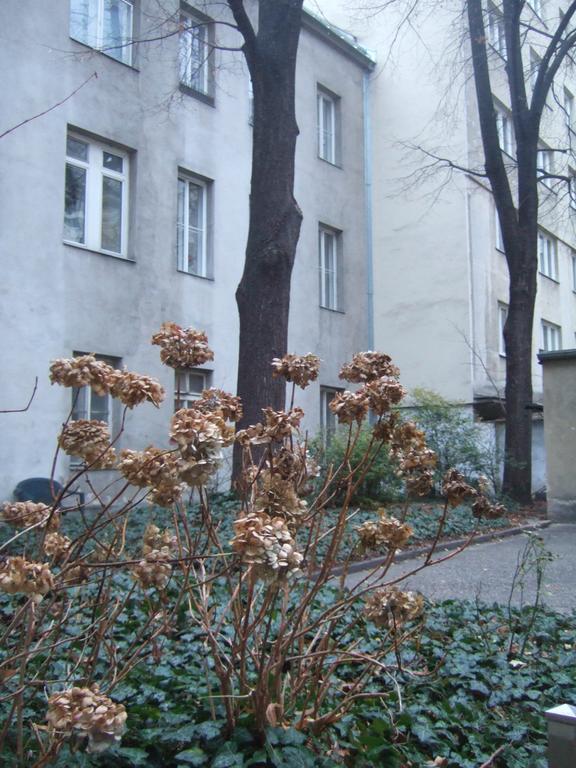 Vienna Top Comfort Apartment Kültér fotó